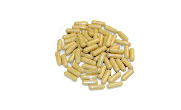 Buy IBOGA CAPSULES Online